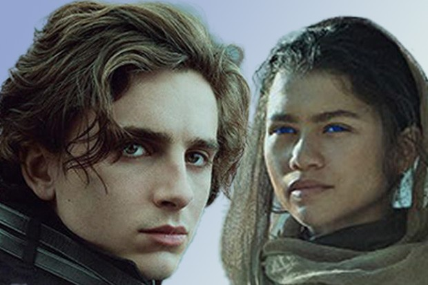 Dune Part Two Cast Reveal Secrets of the Arrakis Saga.