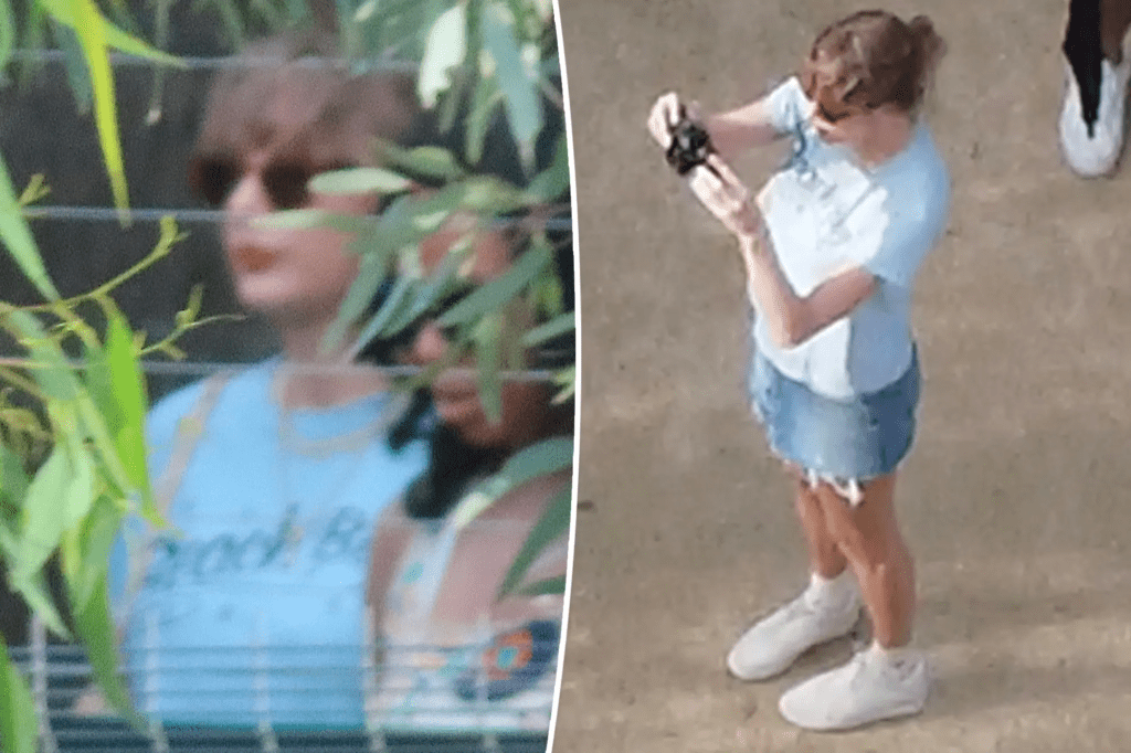 Taylor Swift and Travis Kelce at Sydney Zoo: Koalas, Kangaroos, and Love