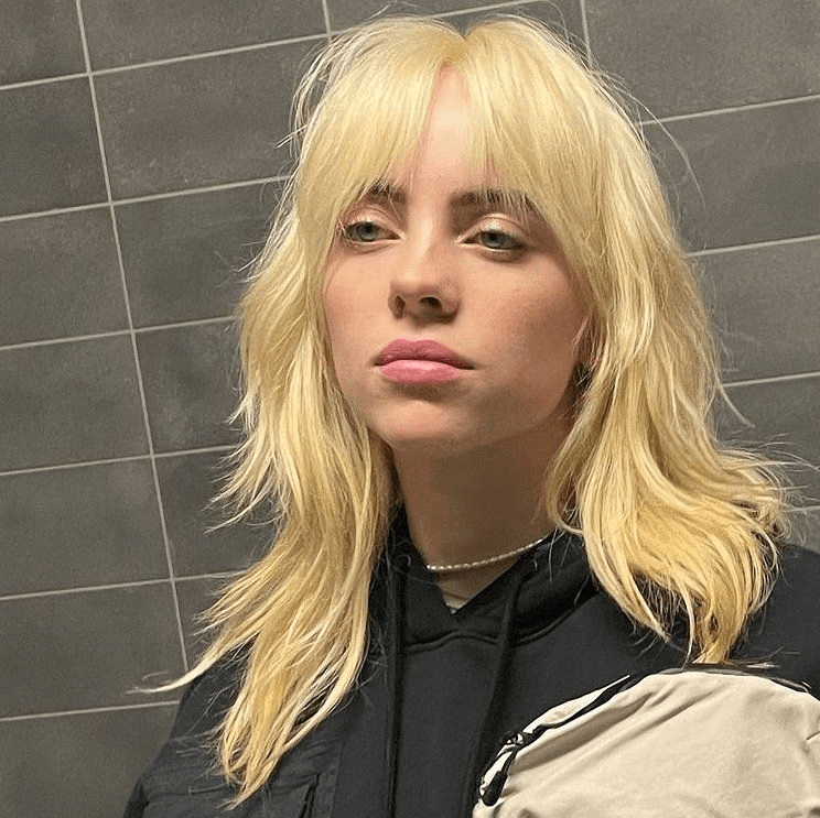 15 Things About Billie Eilish You Do Not Know About